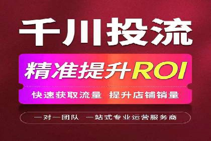 百度推广与SEO结合案例：提升网站排名的技巧